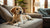 Can Food Allergies Cause Diarrhea in Dogs? Understanding the Impact of Allergies on Your Canine Companion-141095174383