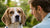 Can Food Allergies Cause Ear Infections in Dogs?