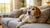 Can Food Allergies in Dogs Cause Diarrhea? Understanding the Connection-141226442991
