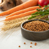 Can Grain-Free Dog Food Be Harmful? Understanding the Risks and Benefits