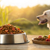 Can Grain-Free Dog Food Cause Liver Problems? Exploring the Connection