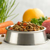 Can Grain-Free Food Cause Heart Disease in Dogs?