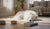 Can High Protein Dog Food Cause Kidney Problems? Understanding the Myths and Facts-141417513199