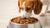 Can High Protein Dog Food Give Dogs Diarrhea? Understanding the Connection