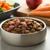 Can Humans Eat Wet Dog Food? A Comprehensive Look at Safety and Nutrition