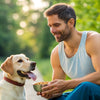 Can I Feed My Dog After Exercise? Understanding the Right Timing for Optimal Health
