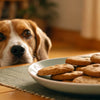 Can I Feed My Dog Cookies? Understanding the Risks and Alternatives