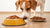 Can I Feed My Dog Dry and Wet Food? Exploring the Benefits and Best Practices