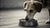 Can I Feed My Dog Expired Dry Dog Food? Understanding the Risks and Best Practices