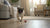 Can I Feed My Dog Raw and Dry Food? Understanding the Benefits and Risks of Mixing Diets