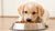 Can I Feed My Puppy Canned Dog Food? Understanding the Benefits and Best Practices