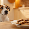 Can I Give Cookies to My Dog? Understanding the Risks and Safe Alternatives