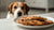 Can I Give My Dog a Chocolate Chip Cookie? Understanding the Risks and Alternatives-140923633903
