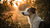 Can I Give My Dog a Fortune Cookie? Understanding the Risks and Alternatives-140927500527