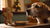 Can I Give My Dog a Gingerbread Cookie? Understanding the Risks and Safeguarding Your Pup-141108445423