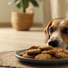 Can I Give My Dog Cookies? Understanding the Risks and Safe Alternatives