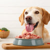 Can I Give My Dog Frozen Raw Food? A Complete Guide for Pet Owners