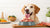 Can I Give My Dog Frozen Raw Food? A Complete Guide for Pet Owners
