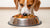 Can I Give My Dog Wet and Dry Food? Understanding the Benefits of Mixing