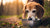Can I Give My Senior Dog Puppy Food? Understanding Nutritional Needs Across Life Stages