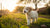 Can I Give Puppy Adult Dog Food? Understanding Your Puppy’s Nutritional Needs