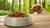 Can I Heat Up Wet Dog Food? A Comprehensive Guide for Pet Owners