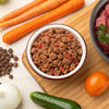 Can I Make Raw Dog Food at Home? A Complete Guide for Pet Owners