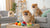 Can I Mix Chicken Broth with Dry Dog Food? Exploring Benefits and Best Practices