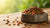 Can I Mix Dry Dog Food with Wet? Exploring the Benefits and Best Practices