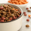Can I Mix Raw and Dry Dog Food: Navigating the Hybrid Diet for Your Canine Companion