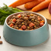 Can I Mix Wet and Dry Food for My Dog? Exploring the Benefits and Best Practices