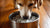 Can I Put Ice Cubes in My Dog's Water Bowl? Discover the Truth Behind This Summer Treat-140790759663