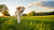 Can Mange Cause Weight Loss in Dogs? Understanding the Connection