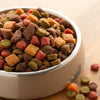 Can Mixing Wet and Dry Dog Food Cause Diarrhea? Treatment Tips and Insights