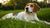 Can My Dog Develop an Allergy to His Food? Understanding, Diagnosing, and Managing Dog Food Allergies-141221789935