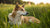 Can My Dog Develop Food Allergies Later in Life?