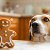 Can My Dog Eat a Gingerbread Cookie? Understanding the Risks and Safe Alternatives