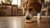 Can My Dog Eat Biscuits? Understanding the Risks and Alternatives-141105856751
