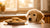 Can My Dog Eat Butter Cookies? Understanding the Risks and Alternatives