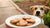 Can My Dog Eat Cookies? Understanding the Risks and Safe Options-140923371759