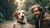 Can My Dog Eat Digestive Biscuits? Understanding the Risks and Alternatives-141106249967