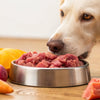 Can My Dog Eat Frozen Raw Food? A Comprehensive Guide for Pet Owners