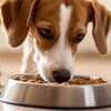 Can My Dog Eat Wet Cat Food? Understanding the Risks and Alternatives