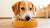 Can My Dog Eat Wet Food Every Day? Understanding the Benefits, Considerations, and Best Practices