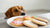 Can My Dog Have Sugar Cookies?
