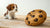 Can One Chocolate Chip Cookie Kill a Dog? Understanding Chocolate Toxicity in Dogs-141105791215