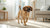 Can Puppies Eat Adult Dog Treats? A Comprehensive Guide for Pet Parents