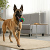 Can Puppies Eat Bread? Understanding the Risks and Benefits