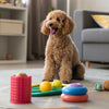 Can Puppies Eat Cheese? Understanding the Pros and Cons of This Popular Treat