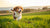 Can Puppies Eat Raw Dog Food? A Comprehensive Guide to Feeding Your Pup Right